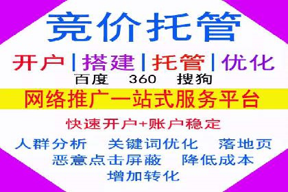 行业领先企业的SEM推广策略揭秘