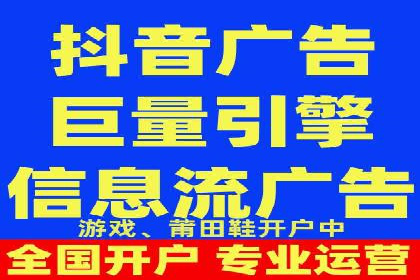 竞价广告与自然搜索的结合策略：XX网站的案例分析